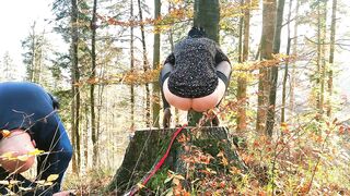 Anal Butt plug Void urine Bitch