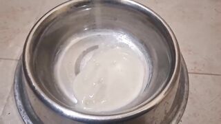 Cute Trans Gal Drinks Massive load of Cum after Sucking Big Black Vibrator and gets Covered in Semen