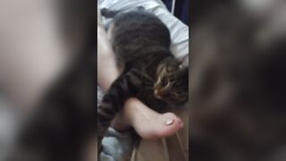 Cute Kitten Cuddling With Gorgeous Feet