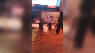 Cute hotty playing with doggy and kittens