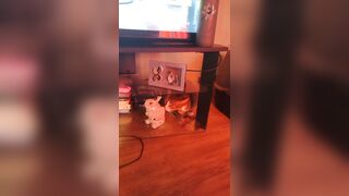 Cute hotty playing with doggy and kittens