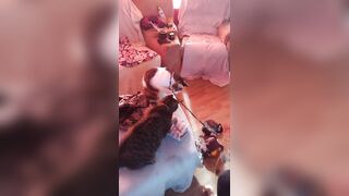 Sexy tattoo gal playing with her kittens