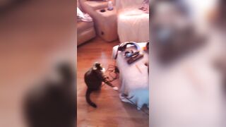 Hot angel playing with her three kittens