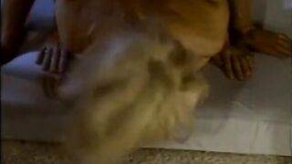 Nina Hartley and her lover screwing passionately