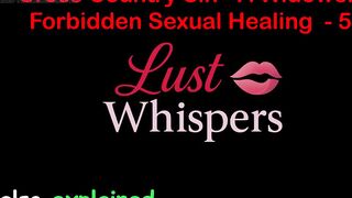 Cross Country Sin a Widower’s Illicit Sexual Healing Part 54 - English Audio Sex Story