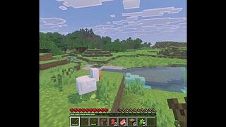 Minecraft but if i take harm i get..railed?