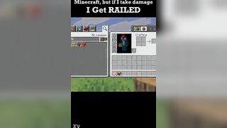 Minecraft but if i take harm i get..railed?