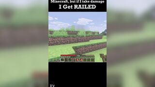 Minecraft but if i take harm i get..railed?