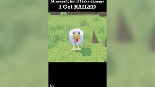 Minecraft but if i take harm i get..railed?