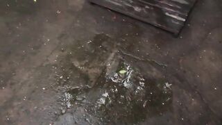 A brunette pees in the yard. Her pussy produces a lot of urine outdoors.