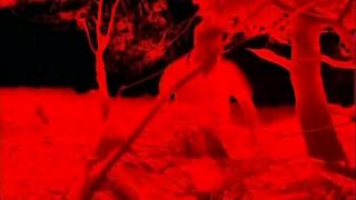 Eager ribald sex in a wild beach
