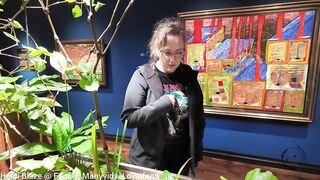 Whangarei Vlog: The Museum Was Worthy but the Sex After Was Next Level!