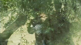 Anal Orgy in the Woods
