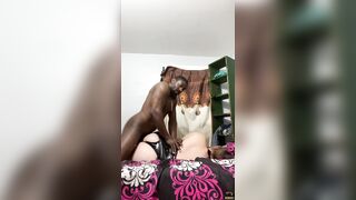 trotzillathegod rides wang hard through intense reality