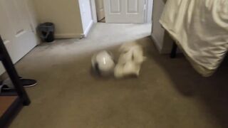 Stuffed Bunny Gets Drilled Charming Hard (Not going to lie)