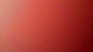 Verification clip