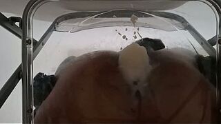 POV: Impure Talk Bulky Ass Femboy Raven Facesitting and Anal Creampie after Riding Sex tool through Transparent Chair