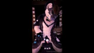 Hyena fursuiter and the magic want