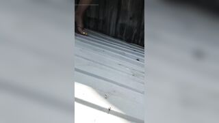 Blonde Screws in the Field in the Tall Grass and in the Hayloft, Cums on the Booty