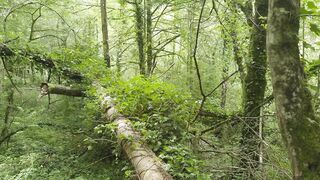 People saw us fucking in the forest