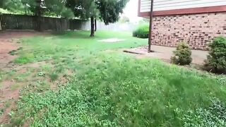 Pervert Pulls Out His Dong, YOU Won't Believe What Happened Next.