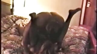 Cuckold Archive 3 BBC bulls fucking sissys wife