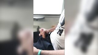 Masturbation in train (almost caught)