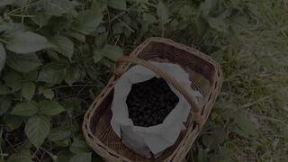 Wild blackberries made me lustful for a outdoor footjob