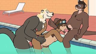 Adult Swim Otters