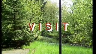 Visit (1989)