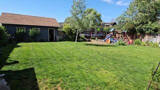 Watch me catch some sun and mow my lawn exposed! Hope noone saw! Or maybe I do.