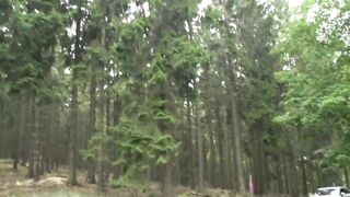 Head forester - Scene #03