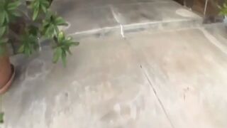 Big wang big dildo in ass