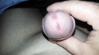 Masturbe (229) with one testicle