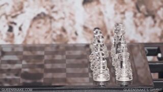 Queensnakes Gambit - Queensnake.com - Queensect.com