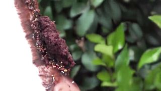Eating Cake From Feet