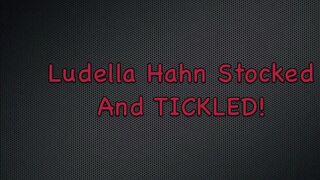 Ludella Stocked