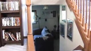 Self-bondage xxx