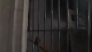 Tory Lane & Daisy Marie - Womens Pen - Scene 3