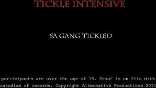 Marissa Gang Tickle Lickle