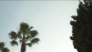 Bittersweet tale 2