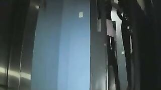 Unexpected guests