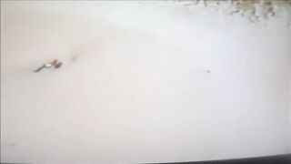 amateur hairy lesbian show 4 man