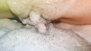 pussy