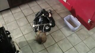 Redhead Tortures Redhead