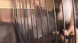 Lesbians in Prison