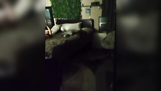 Spying on my stepdaughter while she watches porn and I sniff her panties
