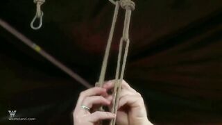 A Fistful Of BDSM Sex Submissives