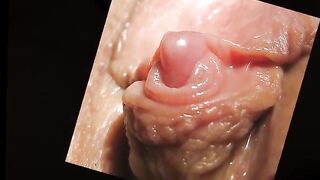 Big Clits