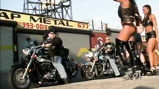 The Clit Lickers Club 1